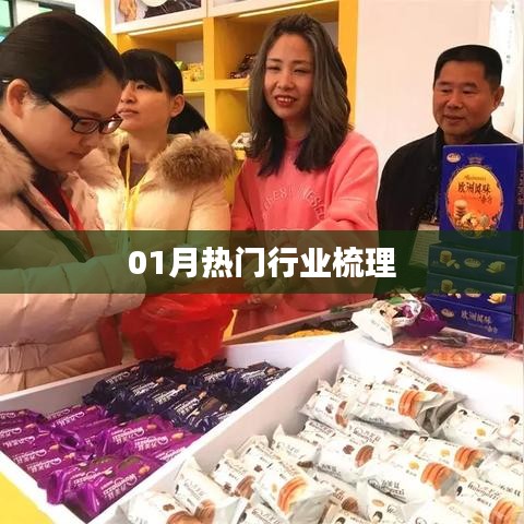 热门行业概览，一月行业趋势梳理