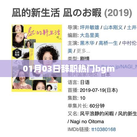 辞职热门背景音乐,精选推荐,点燃你的激情时刻!