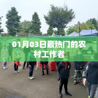 农村工作者最新热点动态，揭秘一月三日热议话题