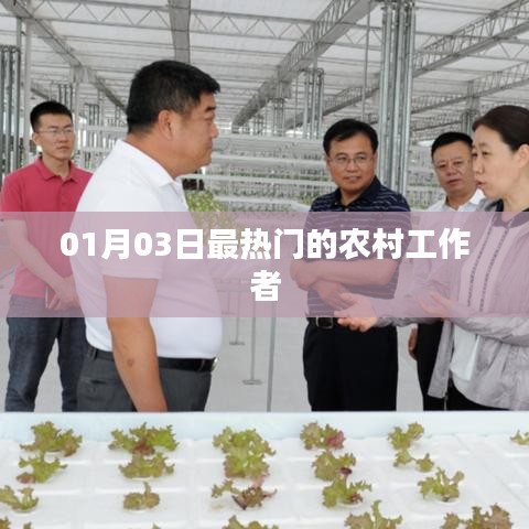 农村工作者最新热点动态,揭秘一月三日热议话题