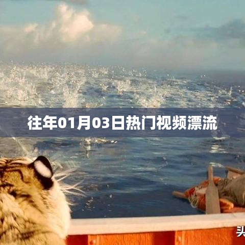 「往年一月初热门视频漂流回顾」