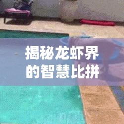 揭秘龙虾界的智慧比拼，十大智商排名榜单！