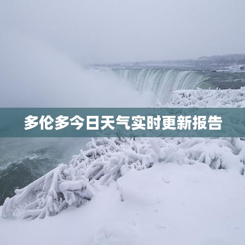 多伦多今日天气实时更新报告