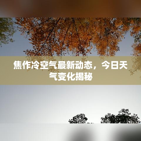 焦作冷空气最新动态,今日天气变化揭秘