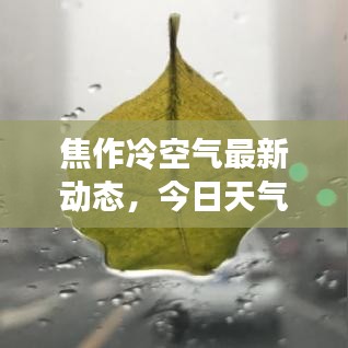 焦作冷空气最新动态,今日天气变化揭秘