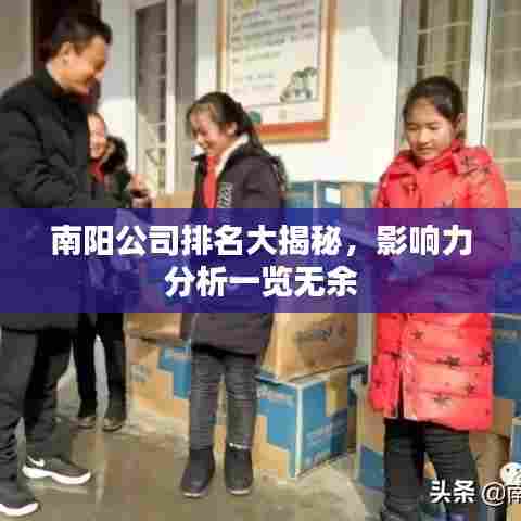 南阳公司排名大揭秘,影响力分析一览无余