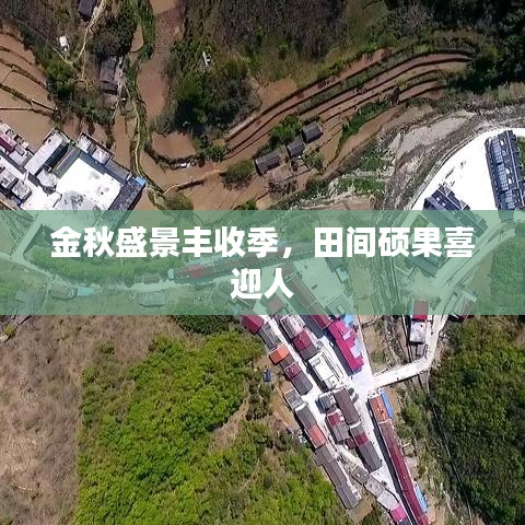 金秋盛景丰收季，田间硕果喜迎人