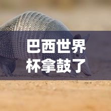 巴西世界杯拿鼓了吗最新消息:巴西世界杯犰狳