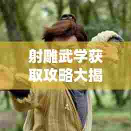 射雕武学获取攻略大揭秘,最新秘籍,助你轻松掌握!