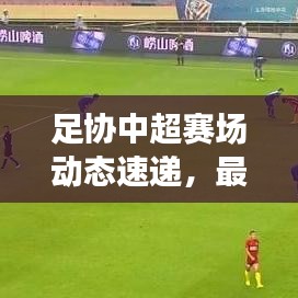 足协中超赛场动态速递,最新新闻与未来展望揭秘