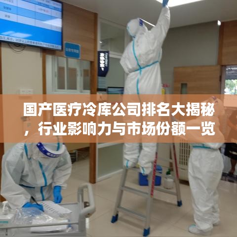 国产医疗冷库公司排名大揭秘,行业影响力与市场份额一览