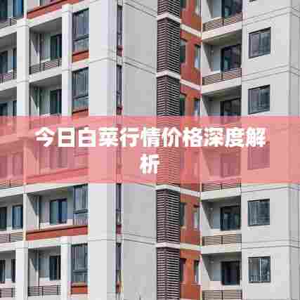 今日白菜行情价格深度解析