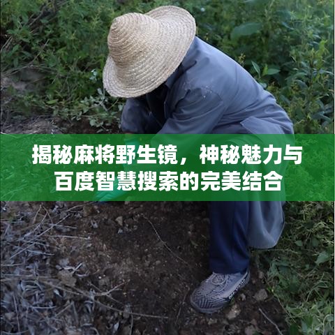 揭秘麻将野生镜，神秘魅力与百度智慧搜索的完美结合