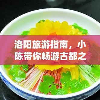 洛阳旅游指南,小陈带你畅游古都之美