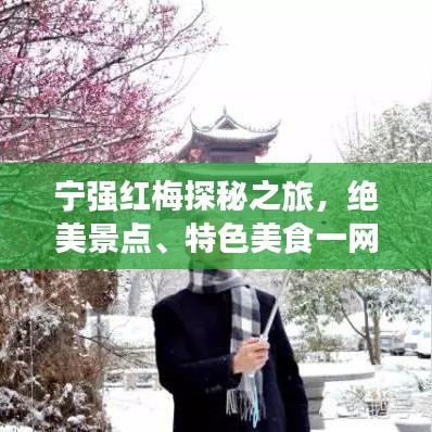 宁强红梅探秘之旅,绝美景点、特色美食一网打尽!