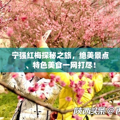 宁强红梅探秘之旅,绝美景点、特色美食一网打尽!