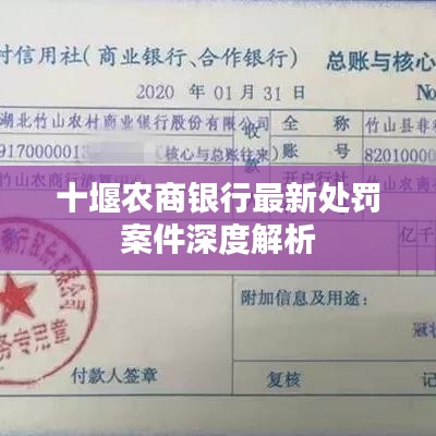 十堰农商银行最新处罚案件深度解析
