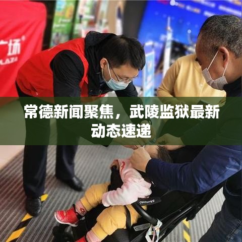 常德新闻聚焦,武陵监狱最新动态速递