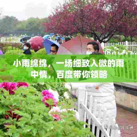 小雨绵绵,一场细致入微的雨中情,百度带你领略
