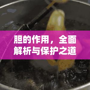 胆的作用，全面解析与保护之道