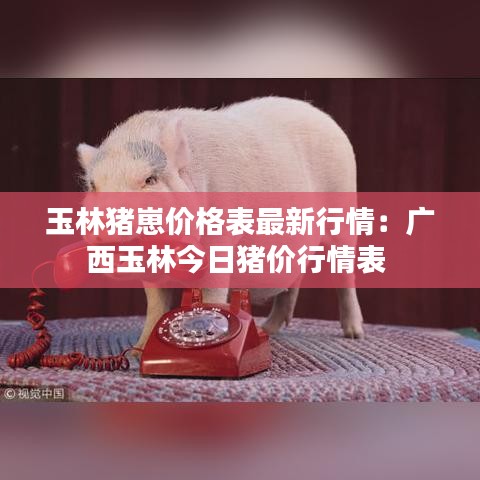 玉林猪崽价格表最新行情:广西玉林今日猪价行情表
