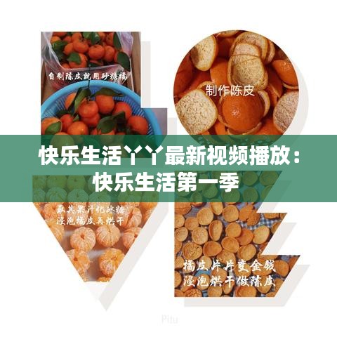 快乐生活丫丫最新视频播放：快乐生活第一季 