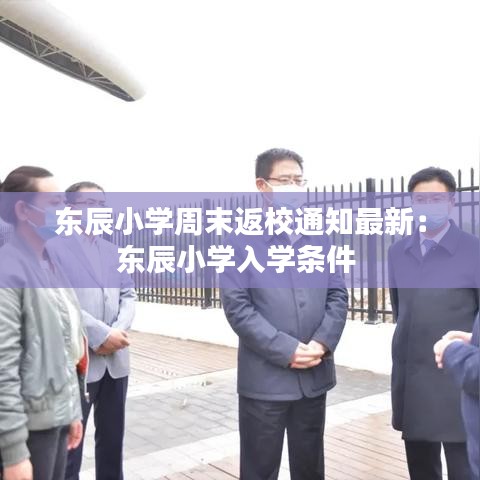 东辰小学周末返校通知最新：东辰小学入学条件 