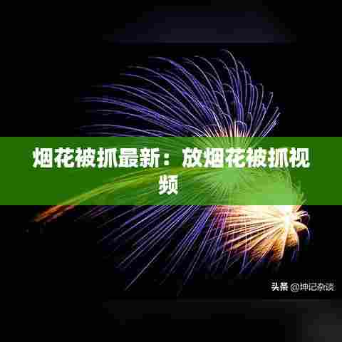 烟花被抓最新:放烟花被抓视频