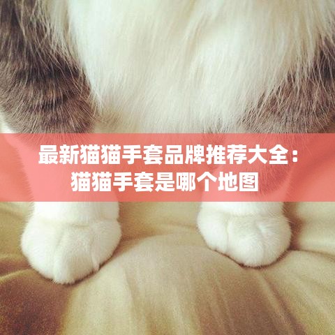 最新猫猫手套品牌推荐大全：猫猫手套是哪个地图 