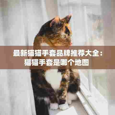 最新猫猫手套品牌推荐大全:猫猫手套是哪个地图