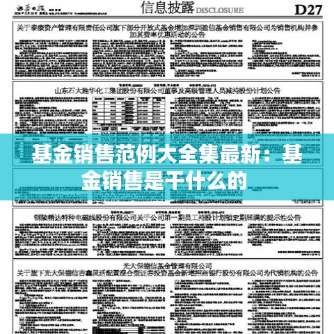 基金销售范例大全集最新：基金销售是干什么的 