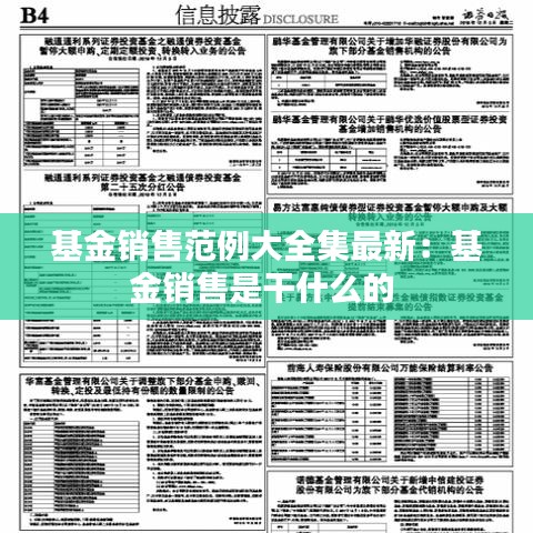 基金销售范例大全集最新:基金销售是干什么的