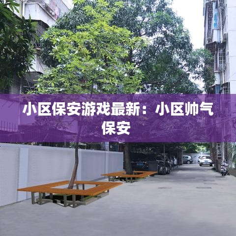 小区保安游戏最新:小区帅气保安