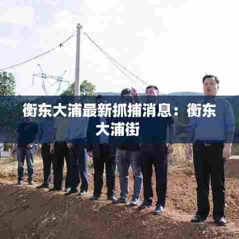 衡东大浦最新抓捕消息:衡东大浦街