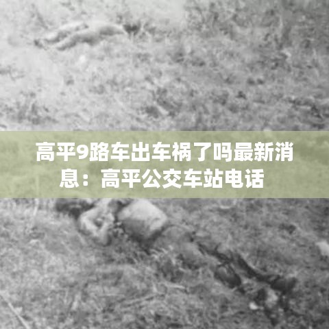 高平9路车出车祸了吗最新消息:高平公交车站电话