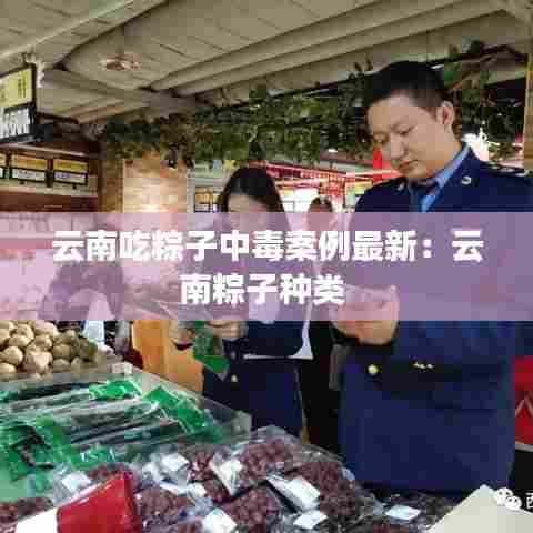 云南吃粽子中毒案例最新:云南粽子种类