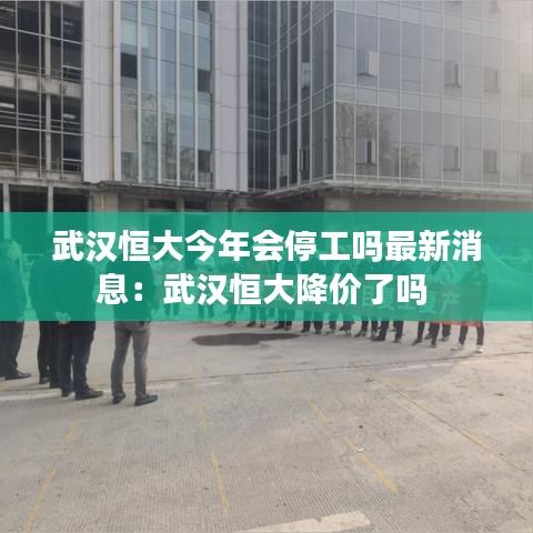 武汉恒大今年会停工吗最新消息:武汉恒大降价了吗