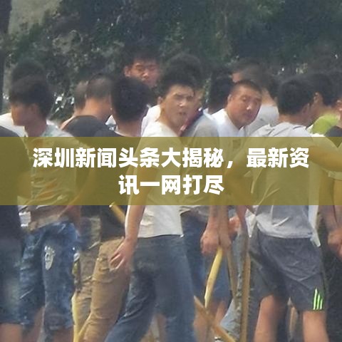 深圳新闻头条大揭秘，最新资讯一网打尽