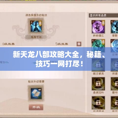 新天龙八部攻略大全,秘籍、技巧一网打尽!