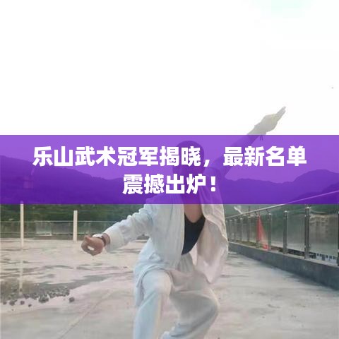 乐山武术冠军揭晓,最新名单震撼出炉!