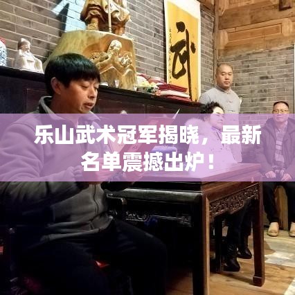 乐山武术冠军揭晓,最新名单震撼出炉!