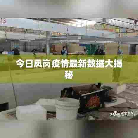 今日凤岗疫情最新数据大揭秘
