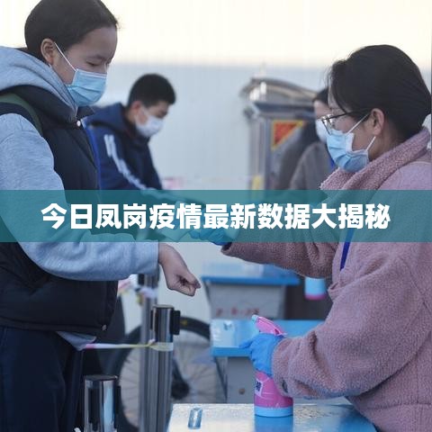 今日凤岗疫情最新数据大揭秘