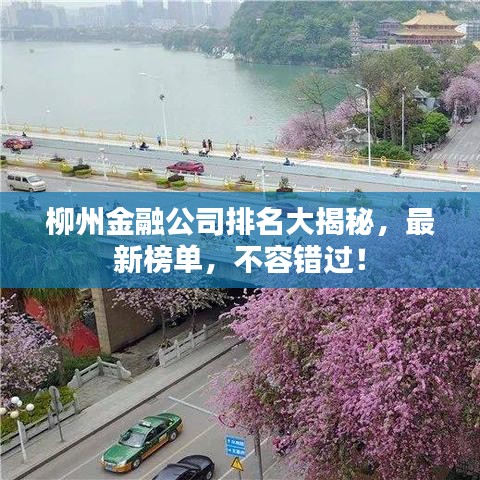 柳州金融公司排名大揭秘,最新榜单,不容错过!