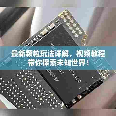 最新颗粒玩法详解,视频教程带你探索未知世界!