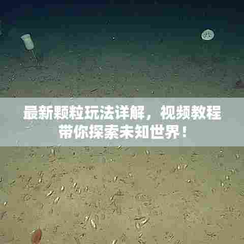 最新颗粒玩法详解,视频教程带你探索未知世界!