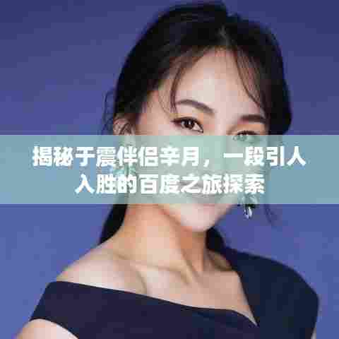 揭秘于震伴侣辛月,一段引人入胜的百度之旅探索