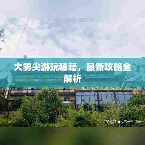 大雾尖游玩秘籍,最新攻略全解析