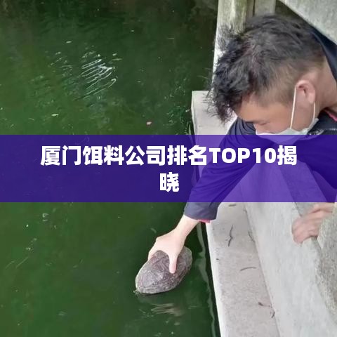 尊道贵德 第6页