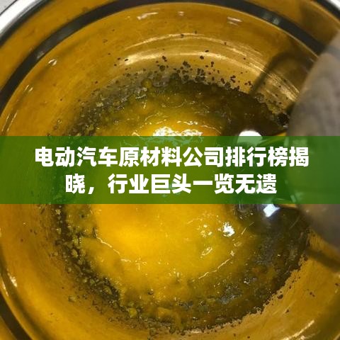 电动汽车原材料公司排行榜揭晓,行业巨头一览无遗